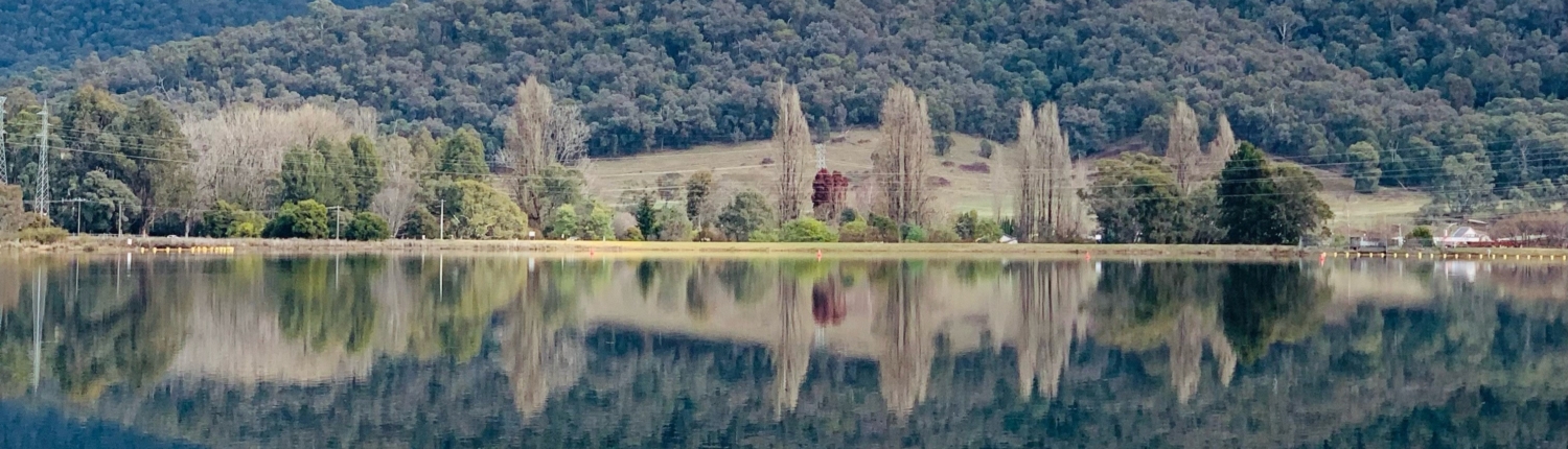 240731 Reflection by Edwina Wyatt cropped